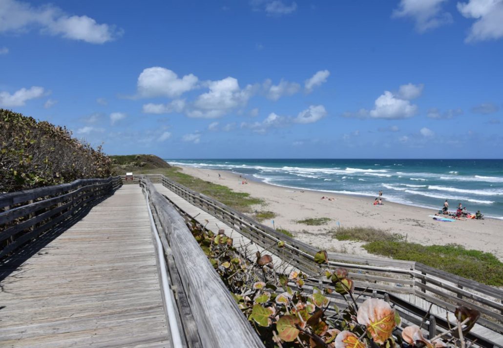 John D. Macarthur Beach State Park, in Florida.