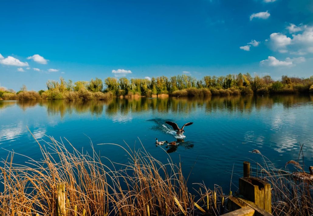 Parks in Cambridge - Milton Country Park