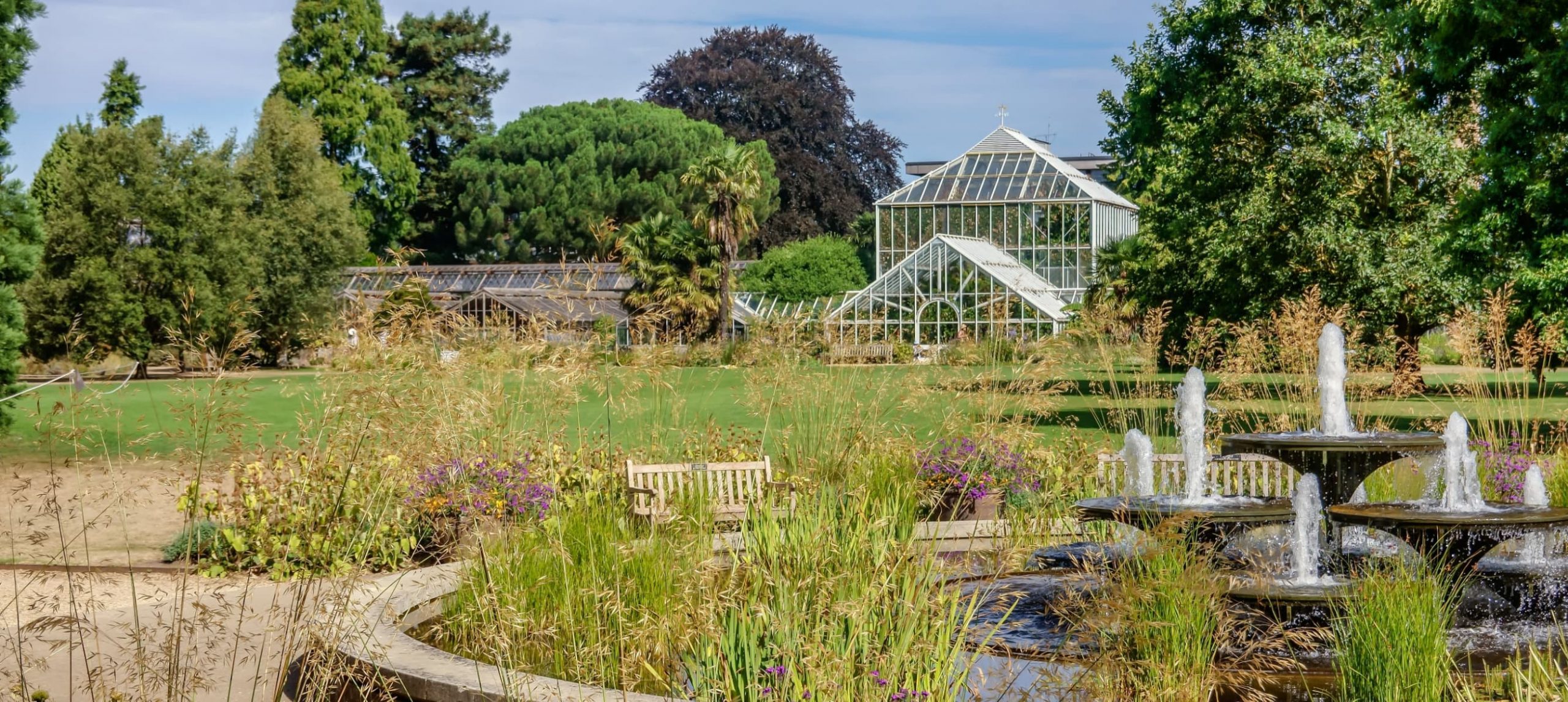 a garden in Cambridge, UK