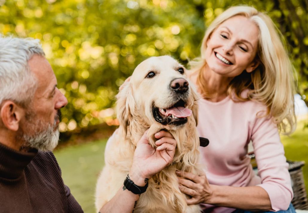 a man and a woman with a dog at the park