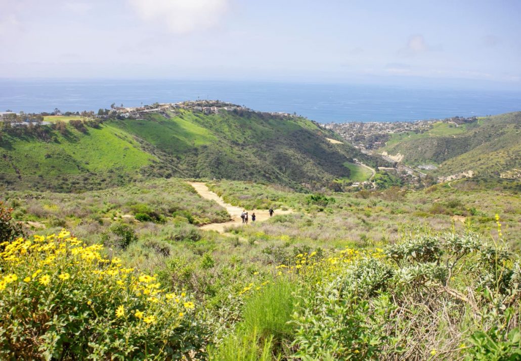 The Laguna Coast Wilderness Park, in Laguna Beach, California.