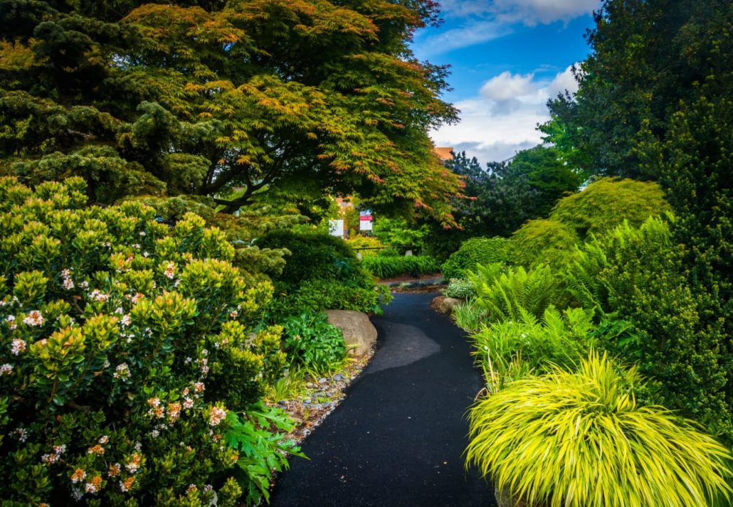 a park in Seattle