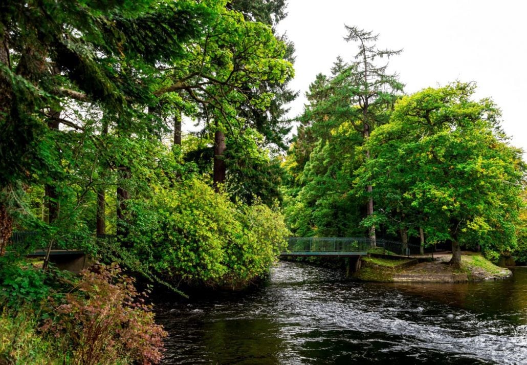 Ness Islands, in Inverness, Scotland.