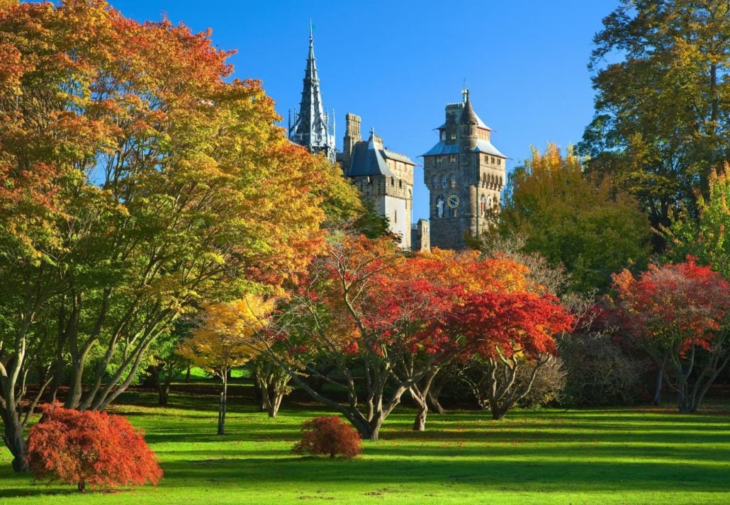 Bute Park with a castle