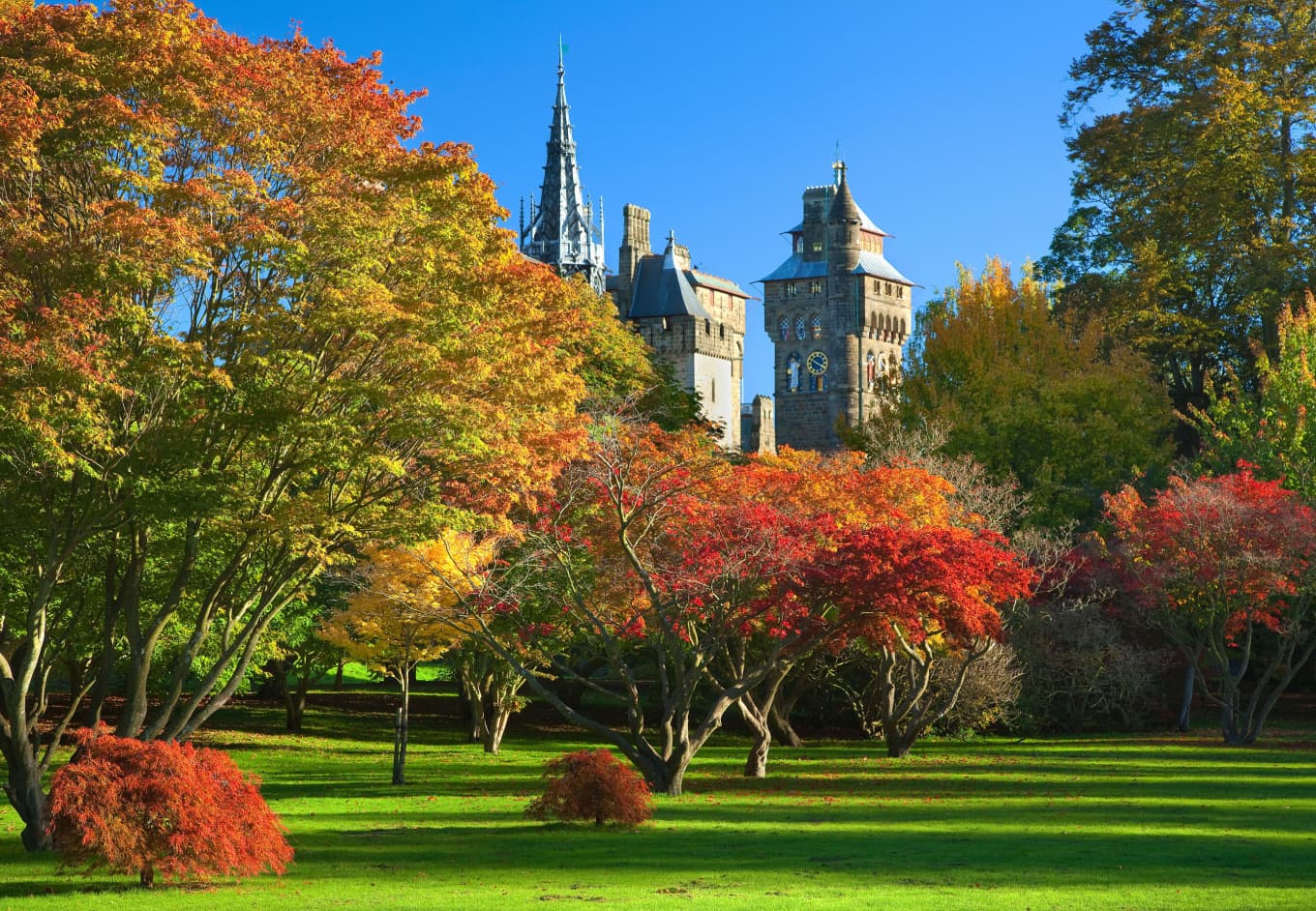 10 TOP Things to Do in Cardiff December 2023