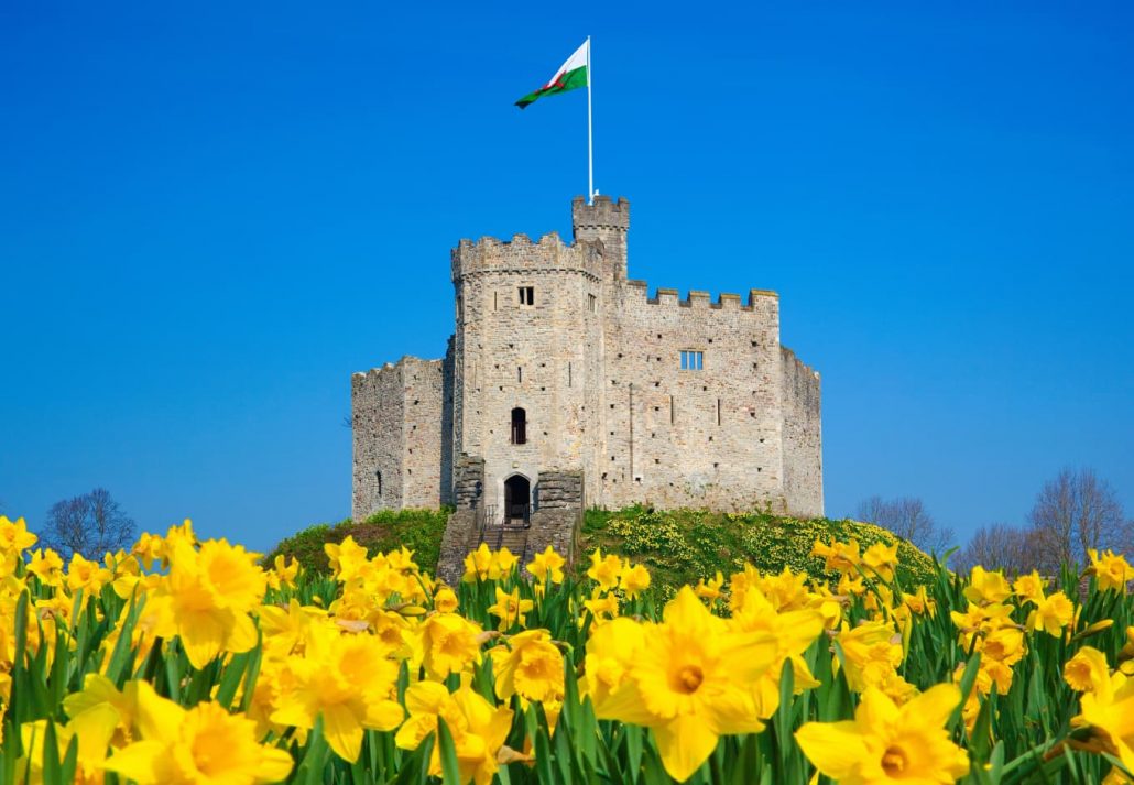 Cardiff Castle with yellow flowers in front
