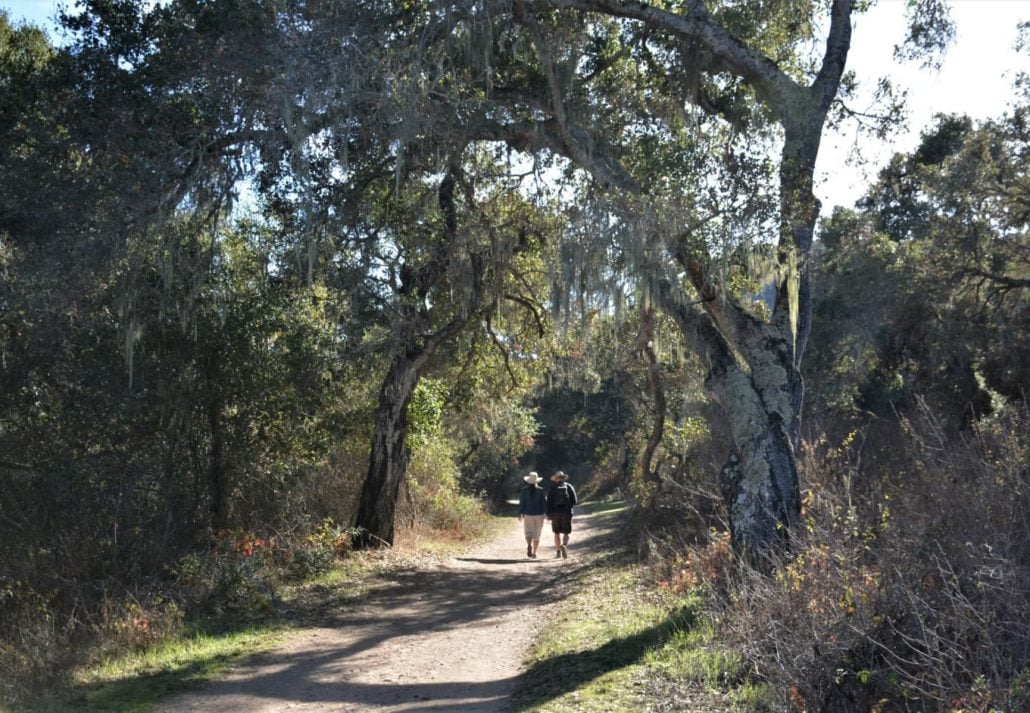 Couple hiking in the Garland Ranch Regional Park, California.