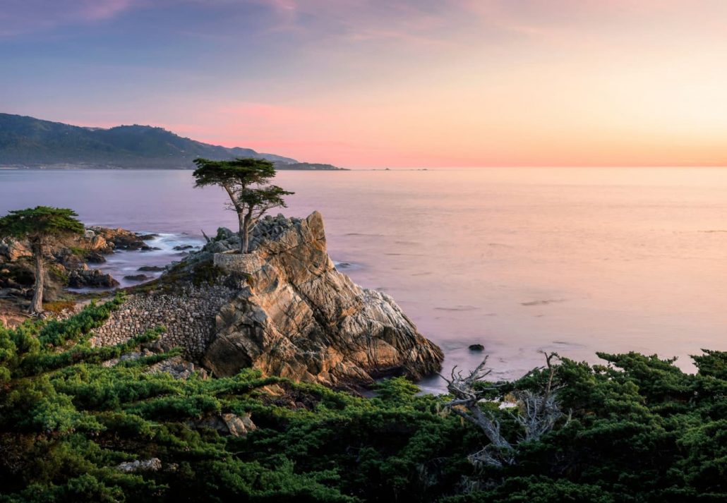 The Lone Cypress, in Pebble Beach, California, at dawn.