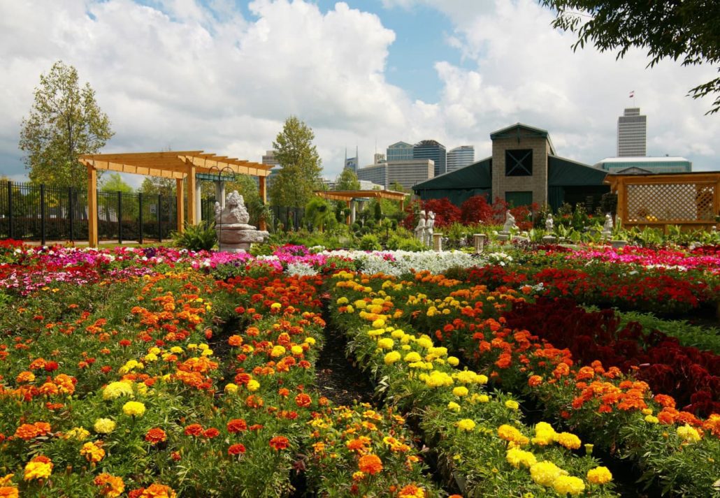 nashville farmers market