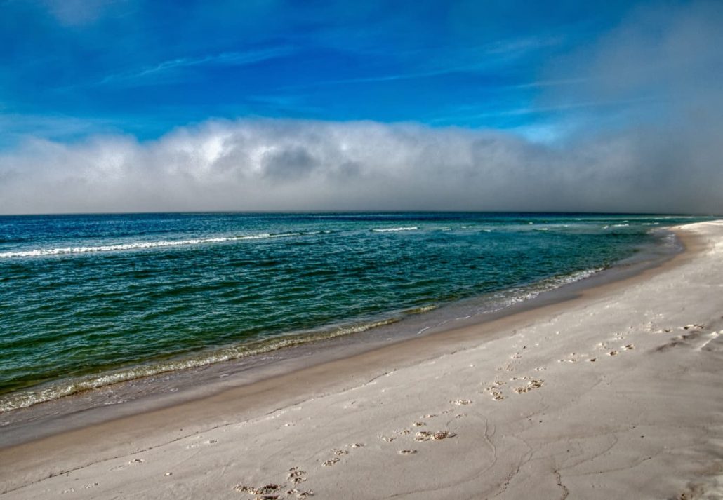 Grayton Beach State Park, Florida, USA.