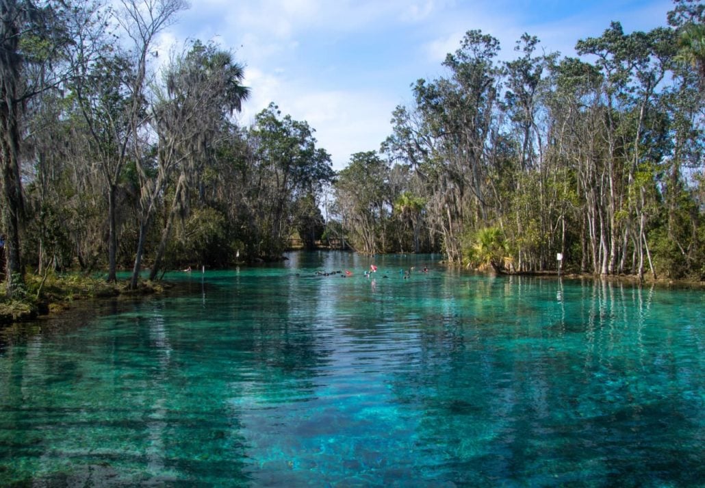 Crystal River National Wildlife Refuge, Florida.