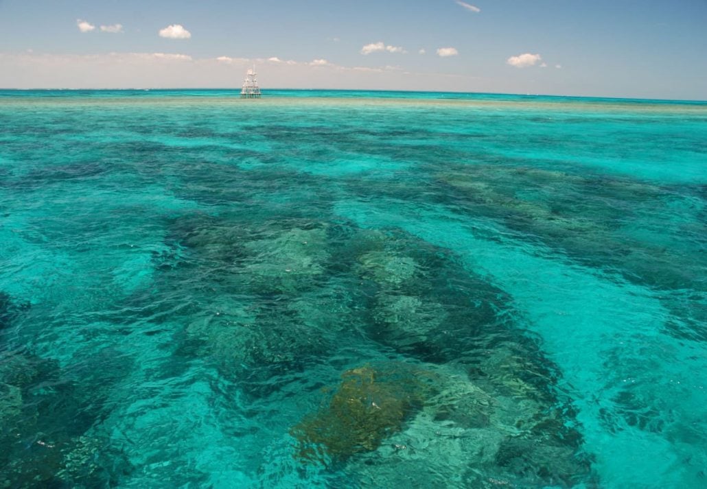 John Pennekamp Coral Reef State Park, Florida Keys.