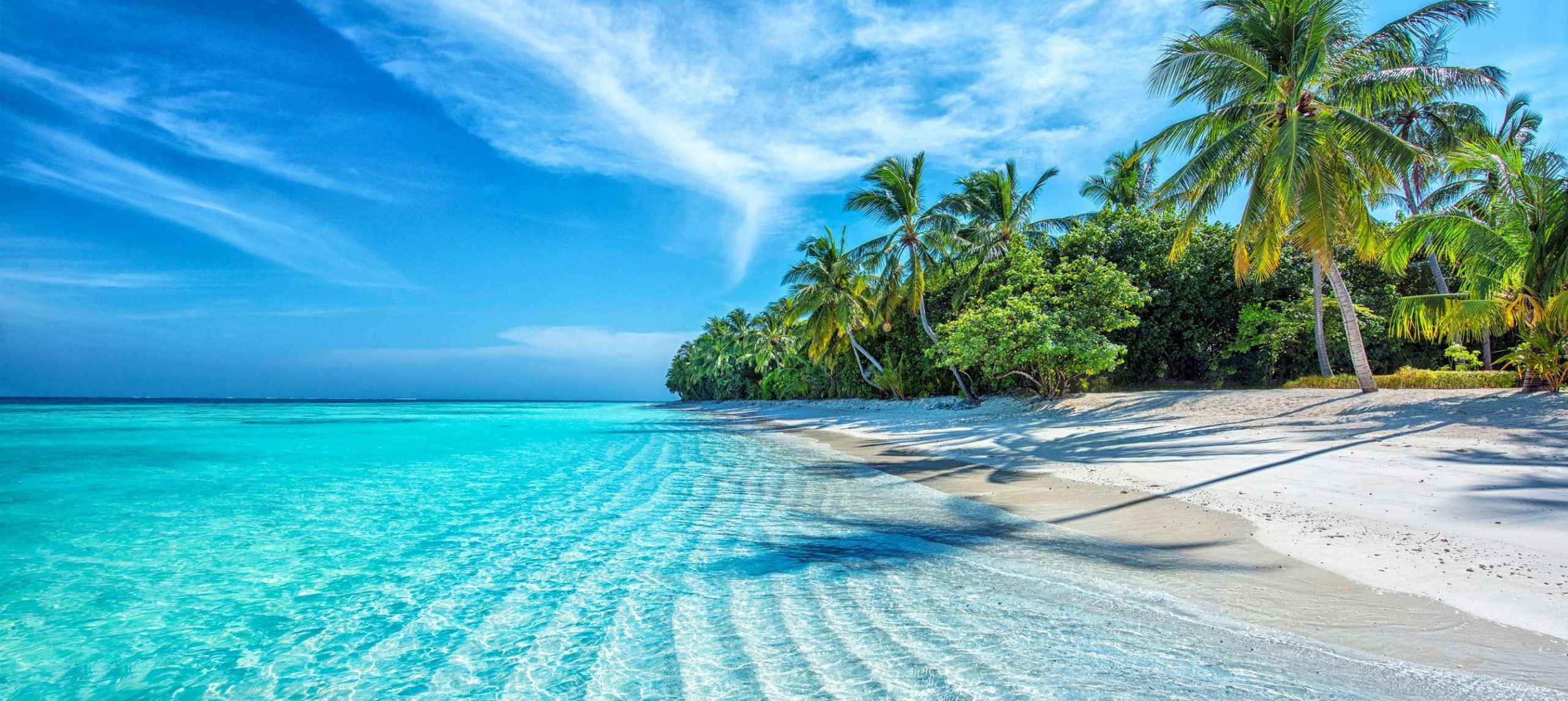 A paradisiac beach surrounded by palm trees.