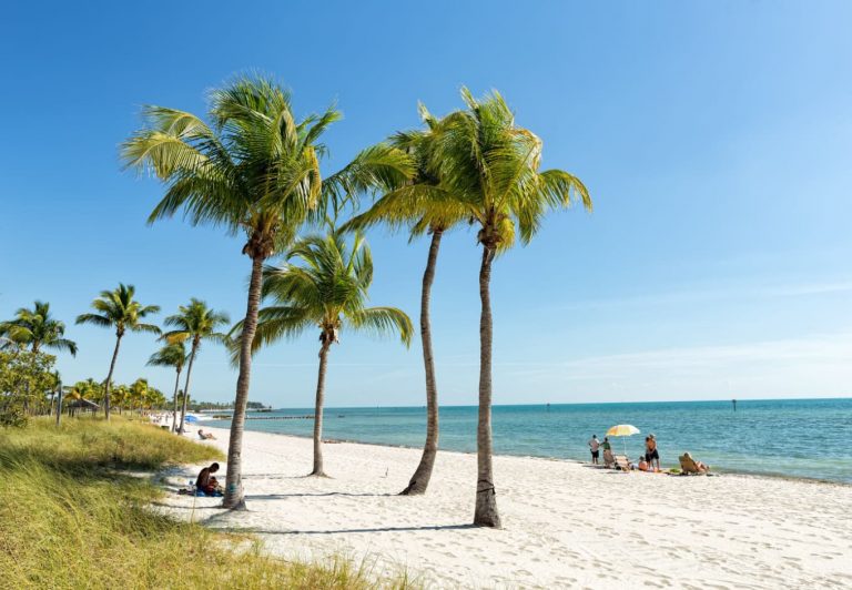 The 20 Best Clear Water Beaches in Florida CuddlyNest