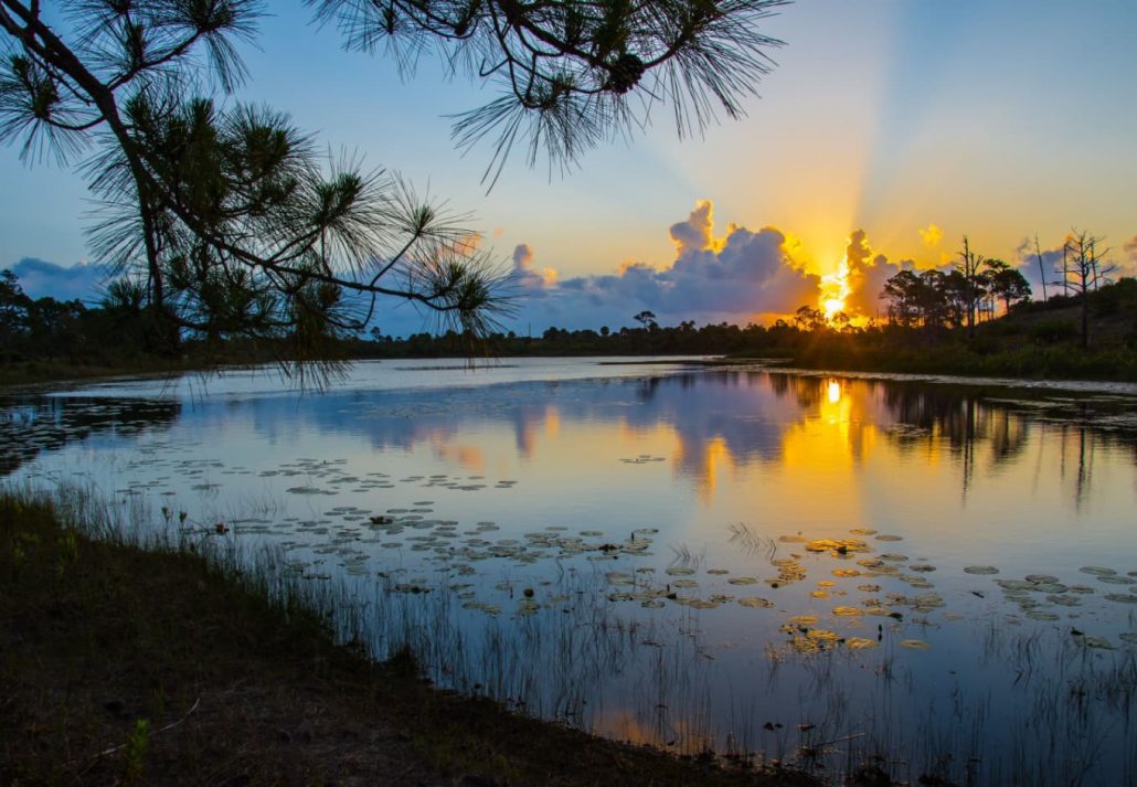 day-trips-from-miami-jonathan-dickinson-state-park | CuddlyNest Travel Blog Jonathan Dickinson State Park, Florida, at sunset.