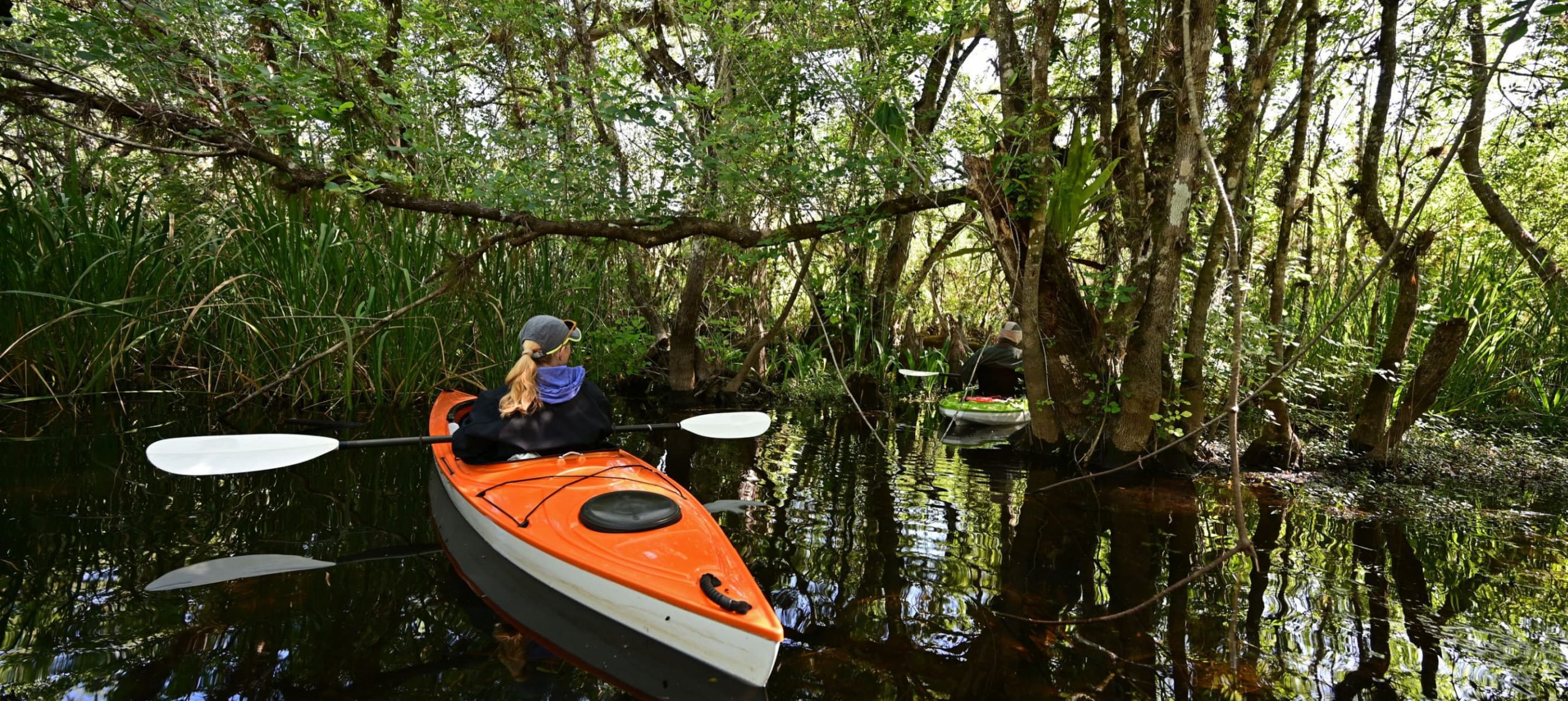 Woman kayaking on Turner River in Big Cypress National Preserve, Florida on clear cool winter day.