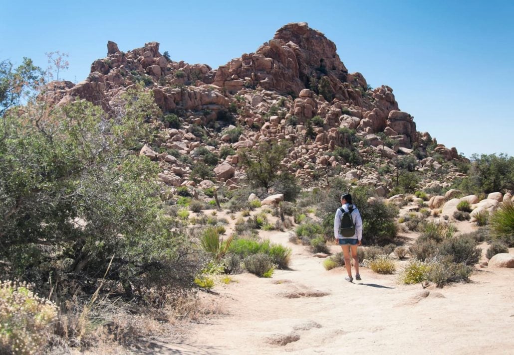 Woman hiking in the Hidden Valley, Joshua Tree National Park, California.