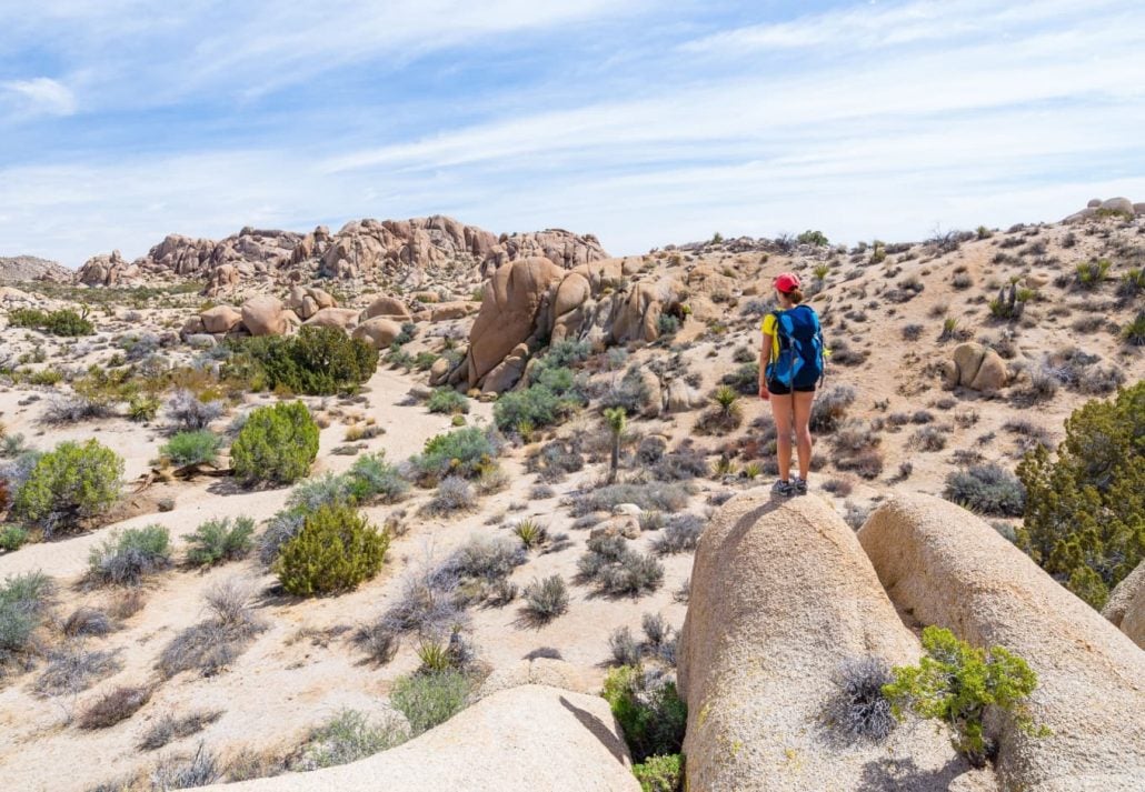 Joshua Tree National Park hike, California, USA.