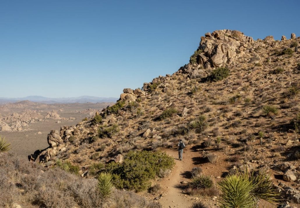 Hiker in the Ryan Mountain, Joshua Tree National Park, California, USA.