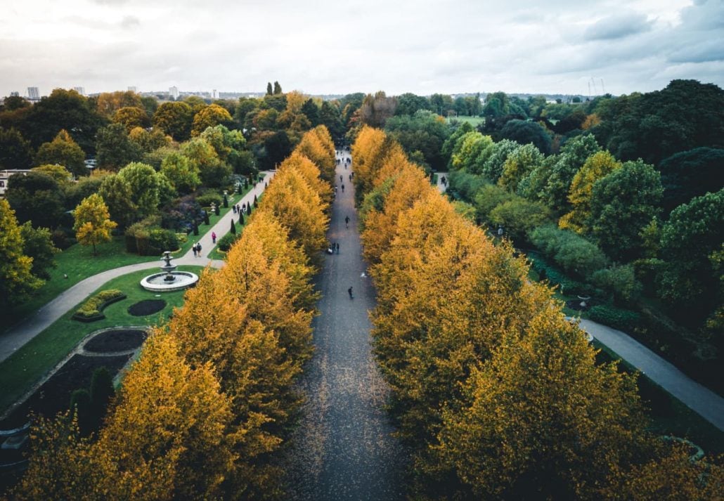 parks-in-london-regents-park | CuddlyNest Travel Blog The Regent's Park - view of the park during the day, in London, UK.