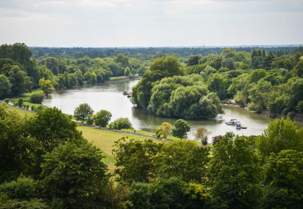 parks-in-london-richmond-park | CuddlyNest Travel Blog Fields of Richmond park in London, UK
