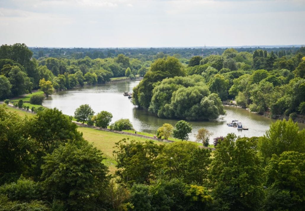 Fields of Richmond park in London, UK