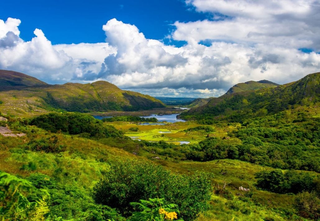 Killarney National Park, Ireland, UK.