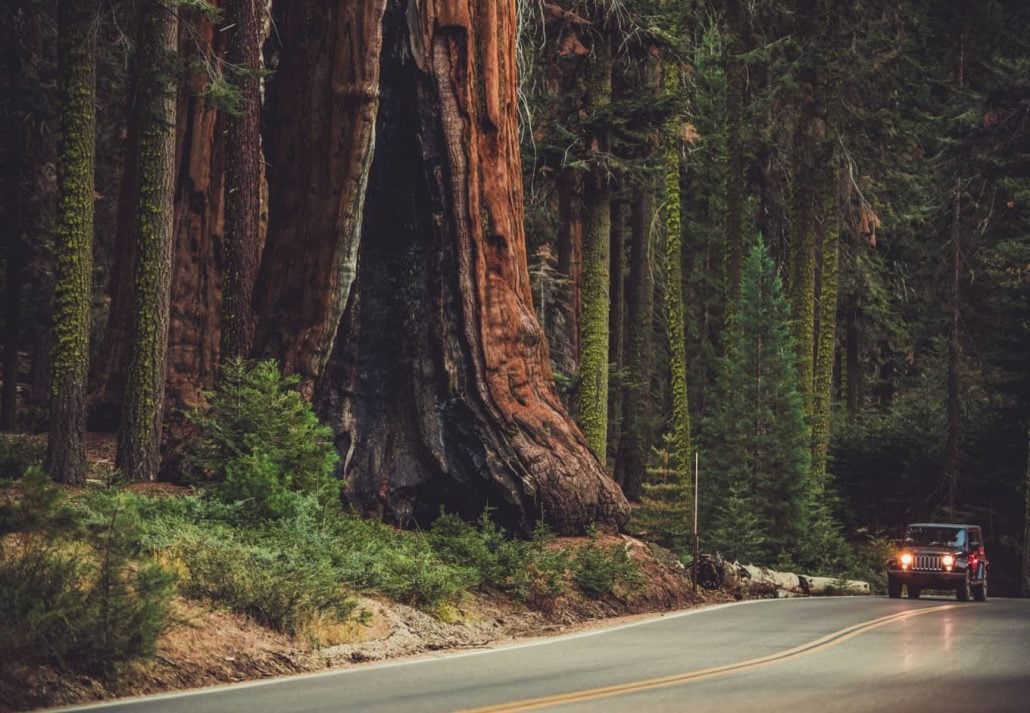 A car passing through Generals Highway, Sequoia National Park, California, USA.