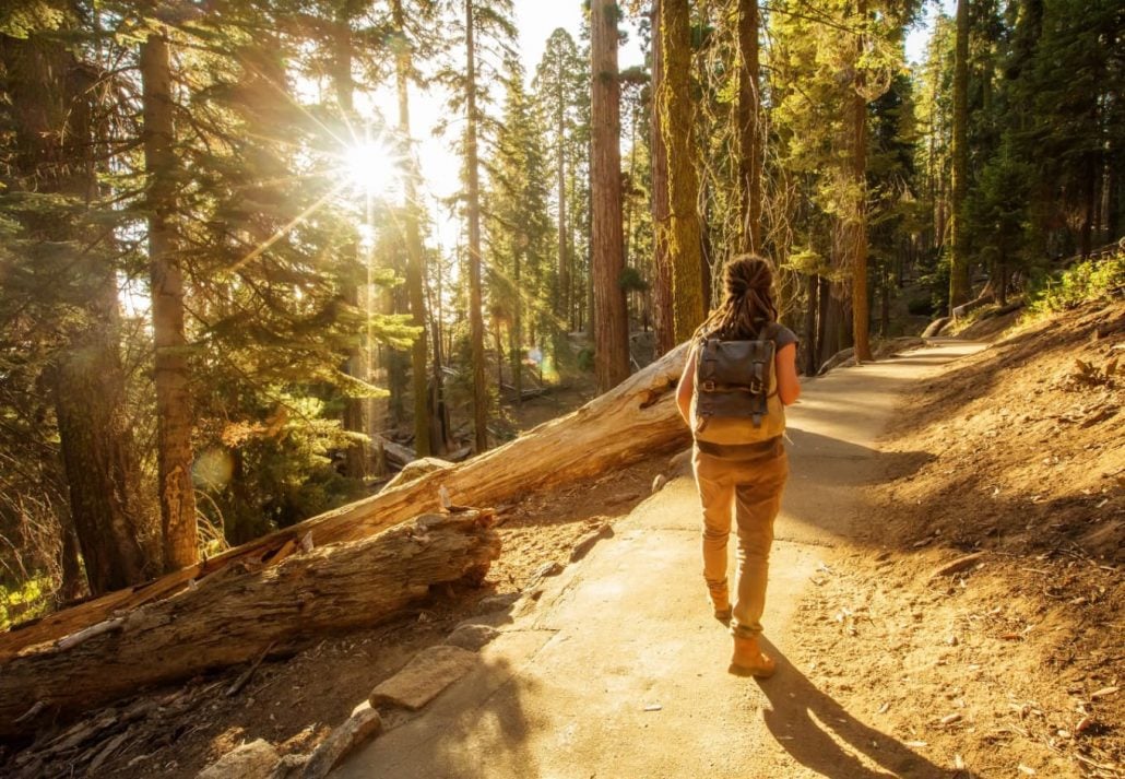 Woman hiking in the Sequoia National Park, California, USA.