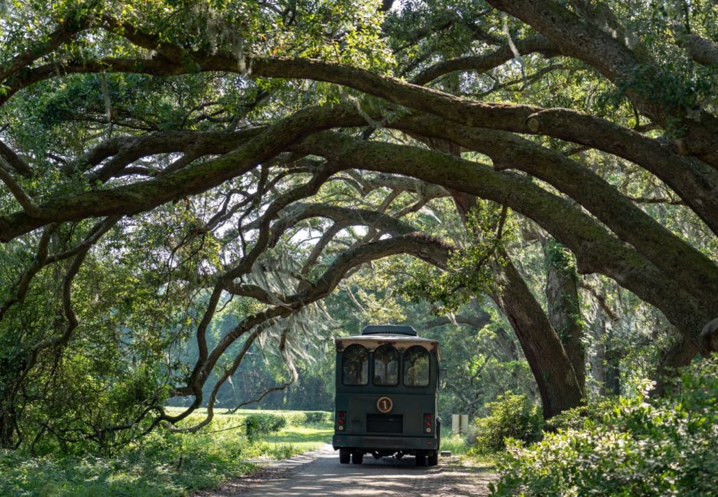Trolley touring the Charleston Tea Plantation, Charleston, SC.
