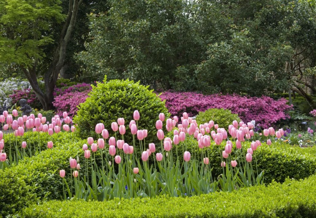 Beautiful gardens of the Nathaniel Russell House in Charleston South Carolina, USA.
