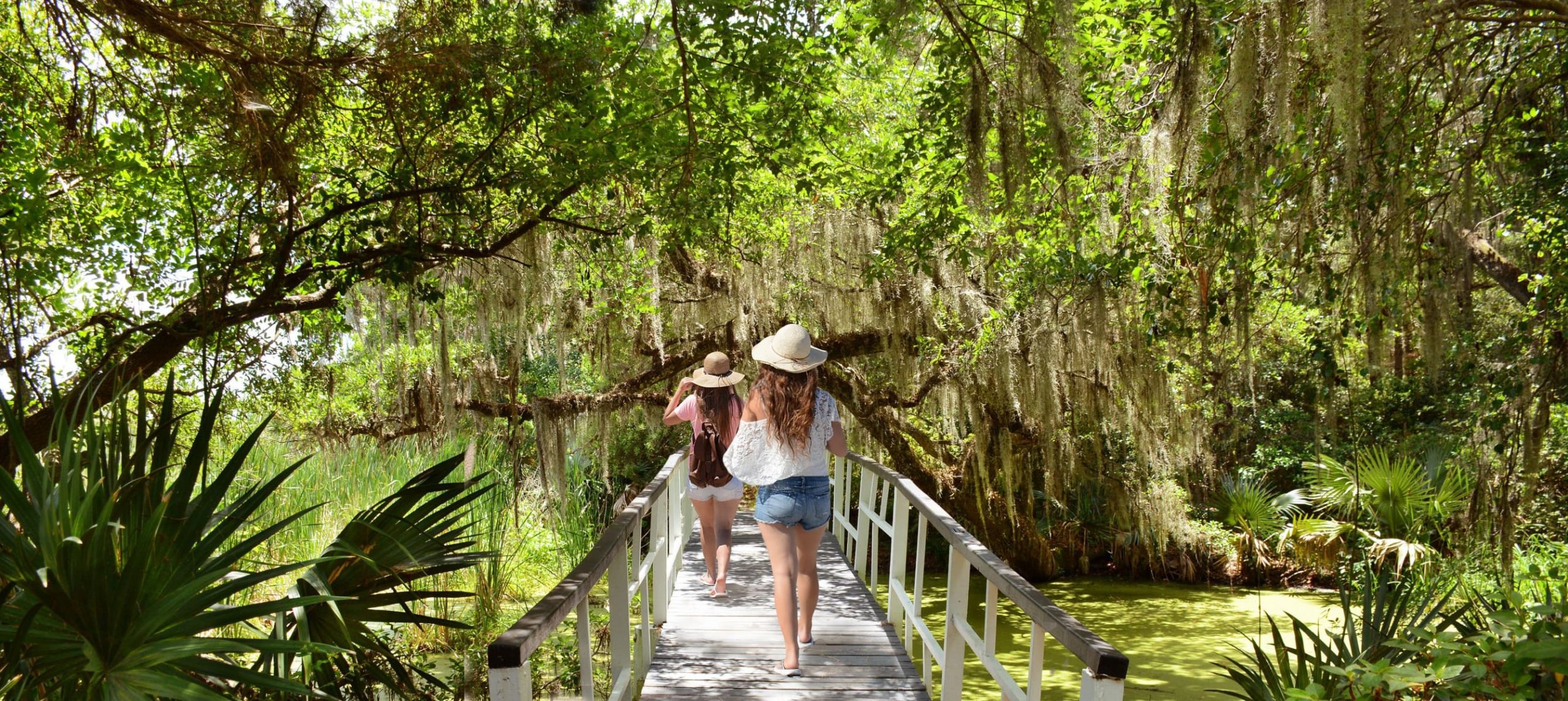 Girls walking under oak tree branches with spanish moss on romantic bridge at the Magnolia Plantation & Gardens,Charleston, South Carolina ,USA.