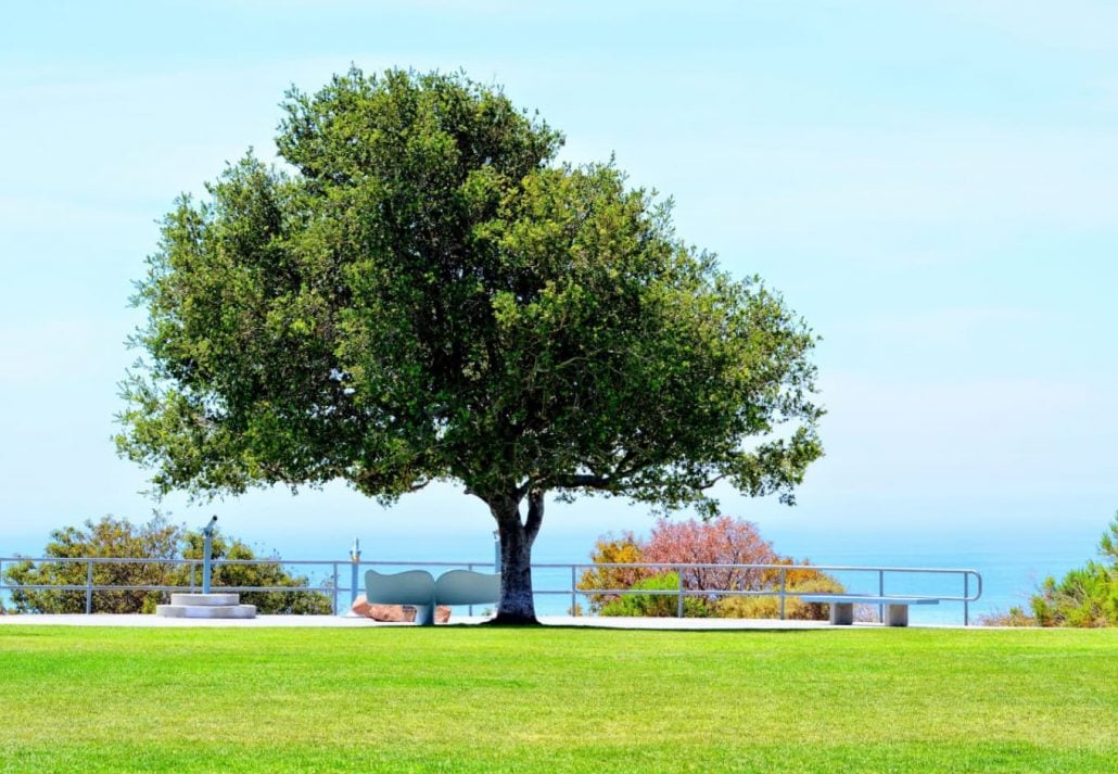 Malibu Bluffs Park