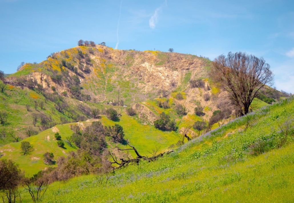 Malibu Creek State Park