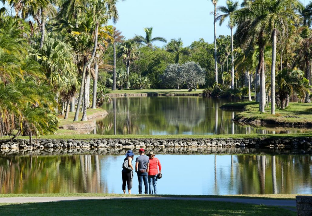 things-to-do-in-miami-with-kids-fairchild-tropical-botanic-garden (1) | CuddlyNest Travel Blog Tourists enjoy the stunning beauty of Fairchild Tropical Botanical Gardens.