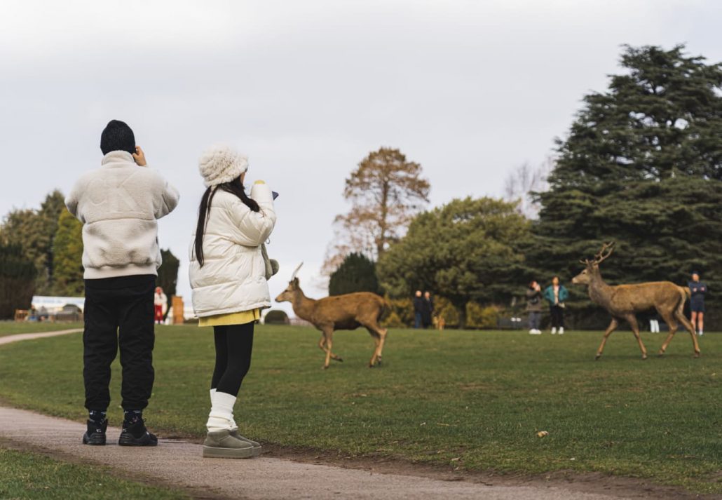 Wollaton Hall, Gardens and Deer Park