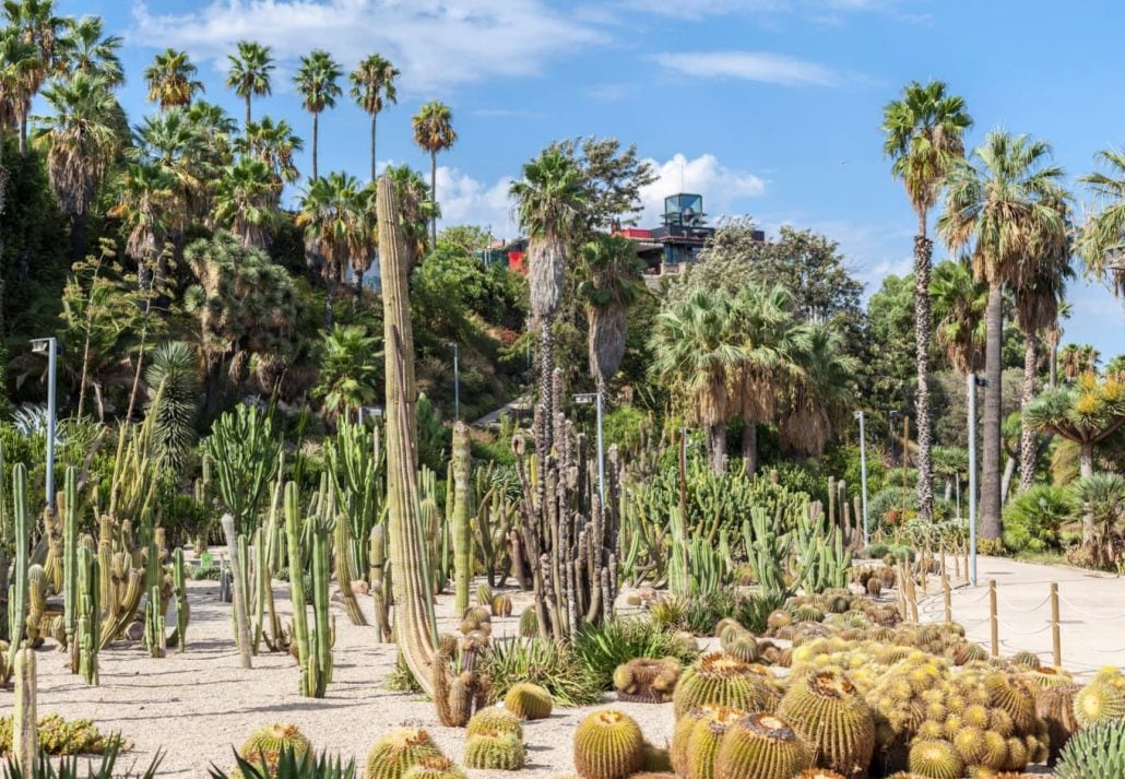 Jardins de Mossen Costa i Llobera, Barcelona, Spain.