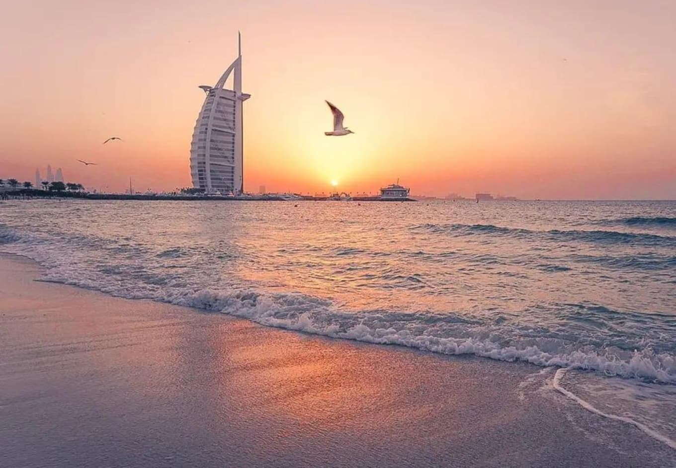 The 9 Most Stunning Beaches In Dubai CuddlyNest the-9-most-stunning-beaches-in-dubai-cuddlynest