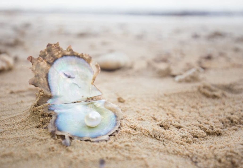 a pearl found on a sandy beach