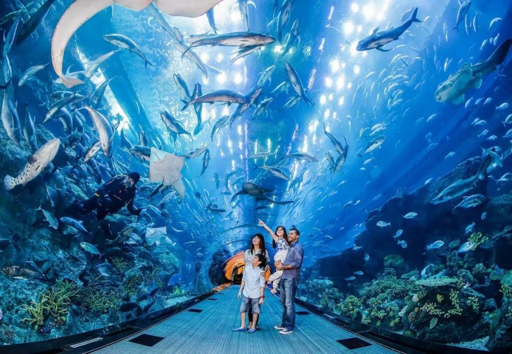 dubai aquarium dubai mall