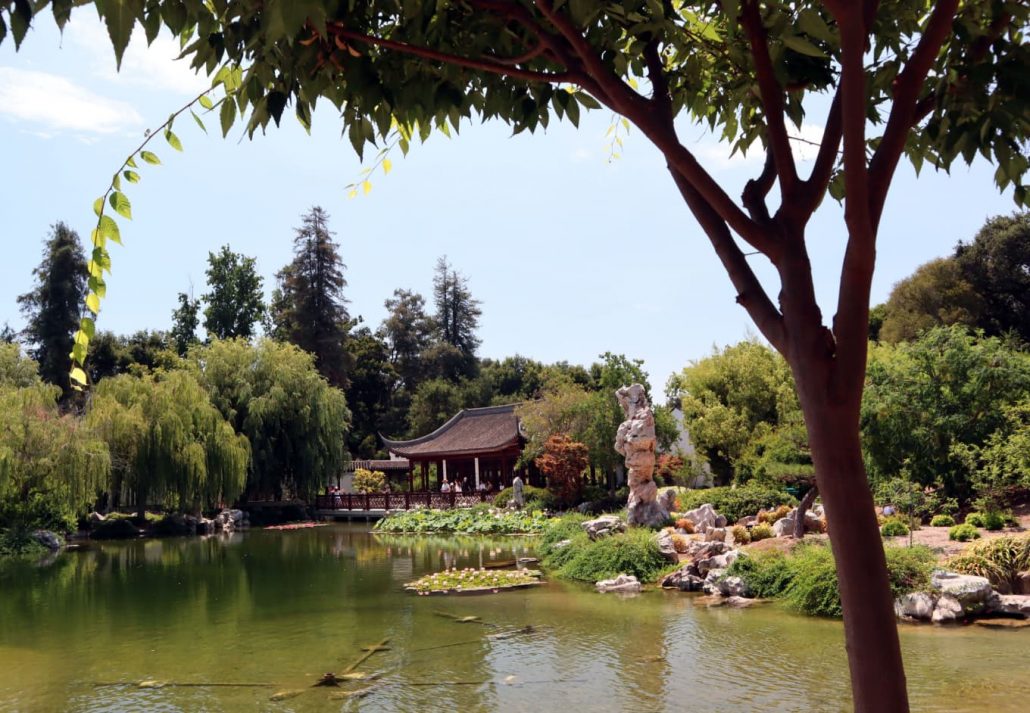 The Los Angeles County Arboretum, Arcadia, California.
