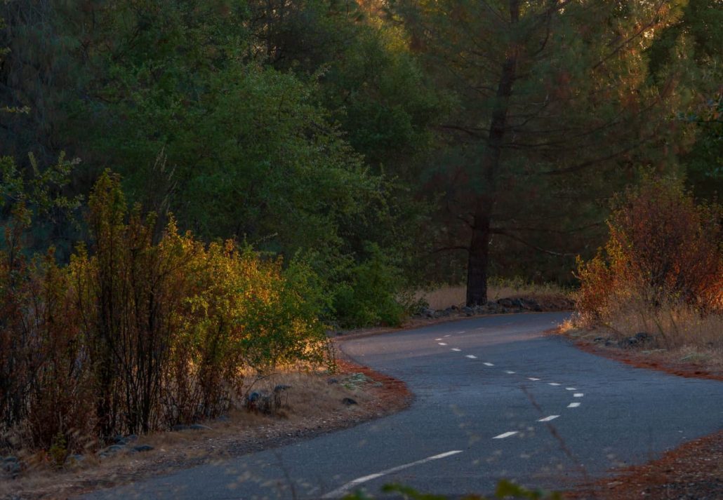 Jedediah Smith Memorial Trail (American River Bike Trail)