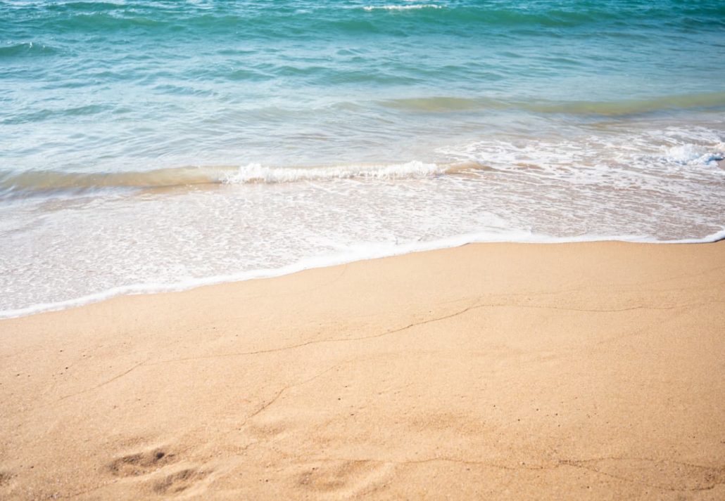 a wave approaching the shore