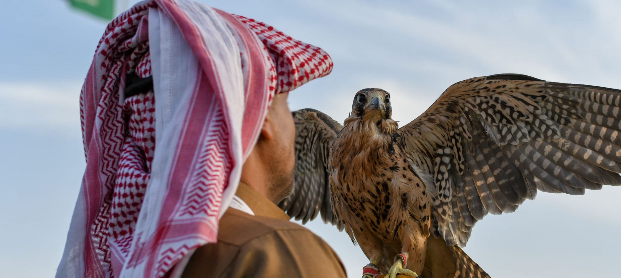 Arabic man from Saudi Arabia wears traditional clothes and holding trained falcon