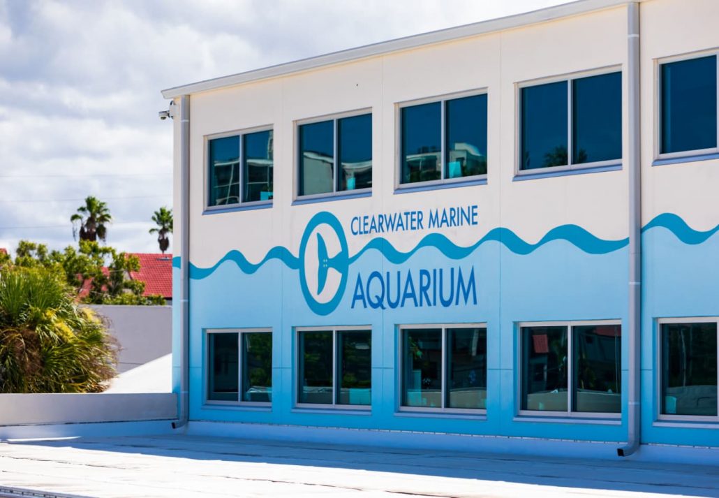 Clearwater Marine Aquarium