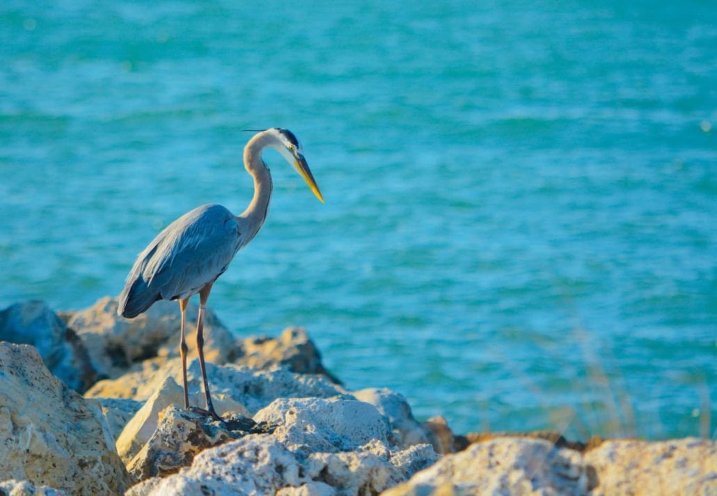 Sand Key Park