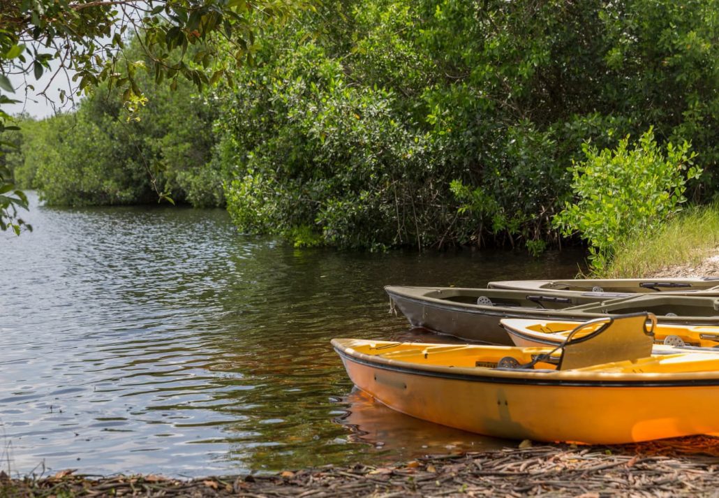 fort lauderdale florida everglades