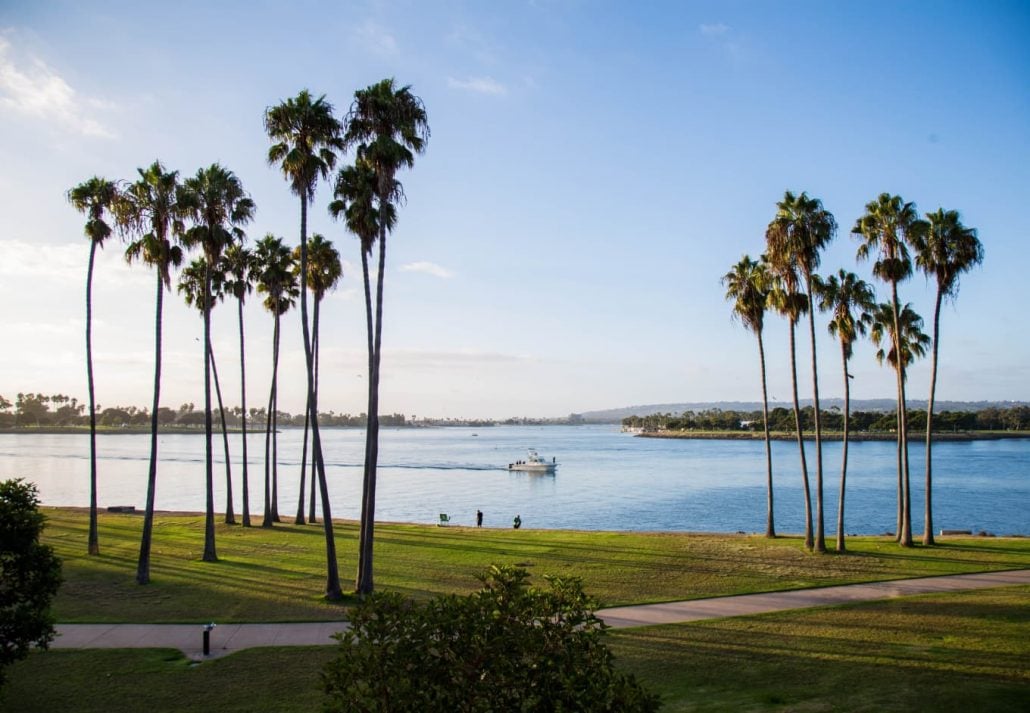 Mission Bay palms and waterfront views