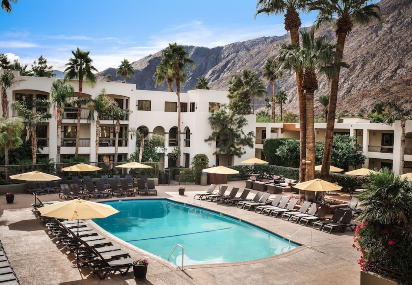 The Best Hotels In Palm Springs Area, California | CuddlyNest