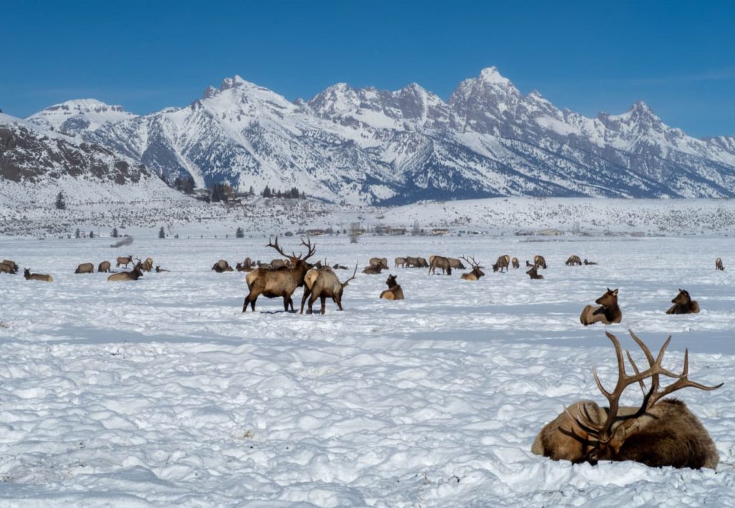 Jackson, Wyoming